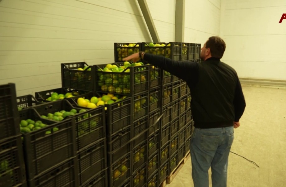 В посёлке Агудзера Гулрыпшского района ведётся приём сельхозпродукции у населения