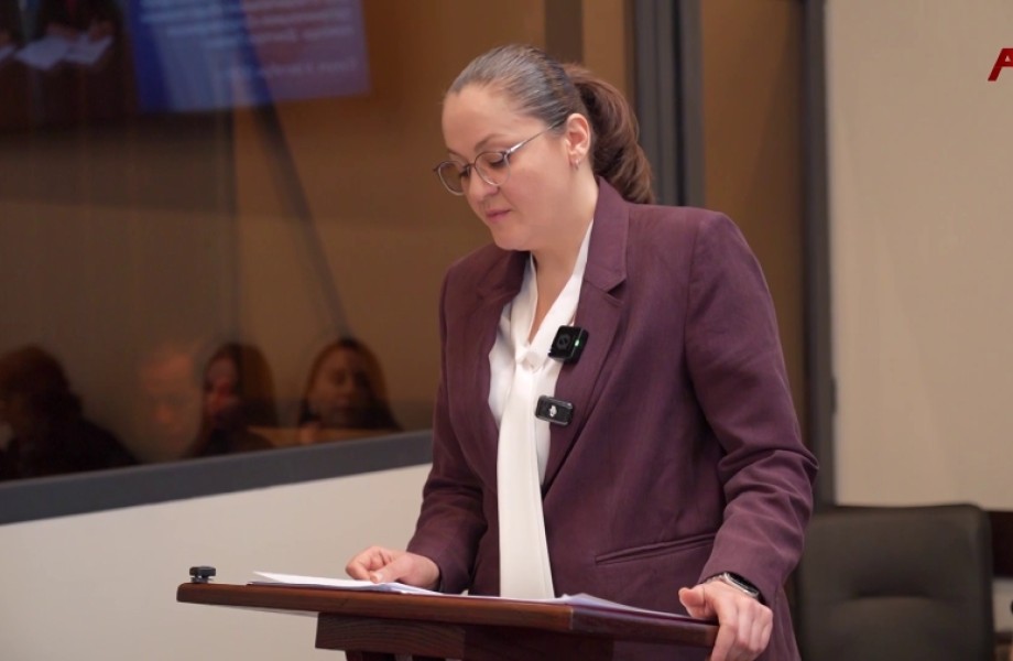 Уполномоченный по правам человека Анас Кишмария представила Парламенту ежегодный доклад