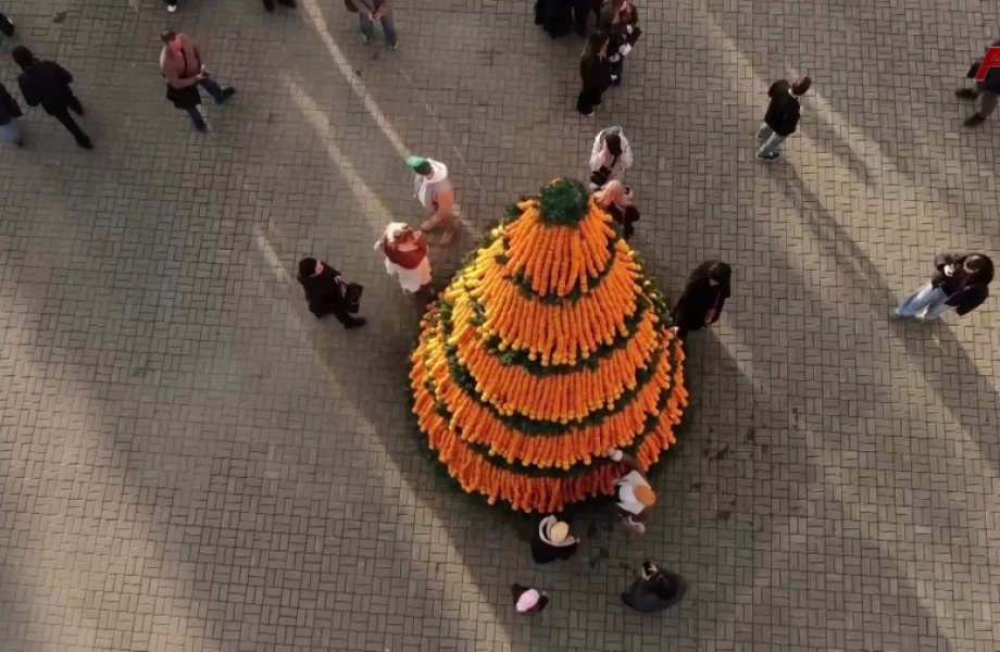 Афестиваль 