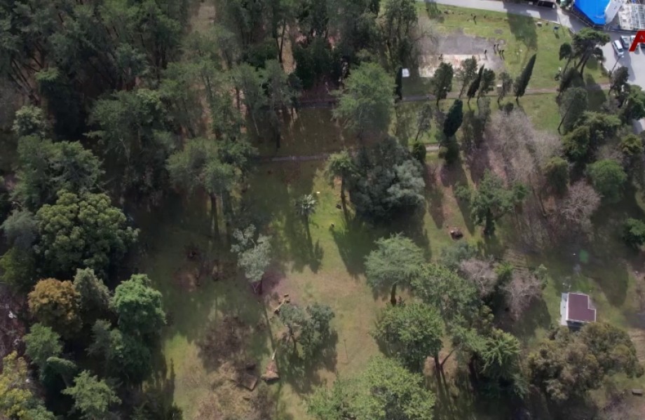 Дендропарк Николая Смецкого в Агудзере планируют восстановить