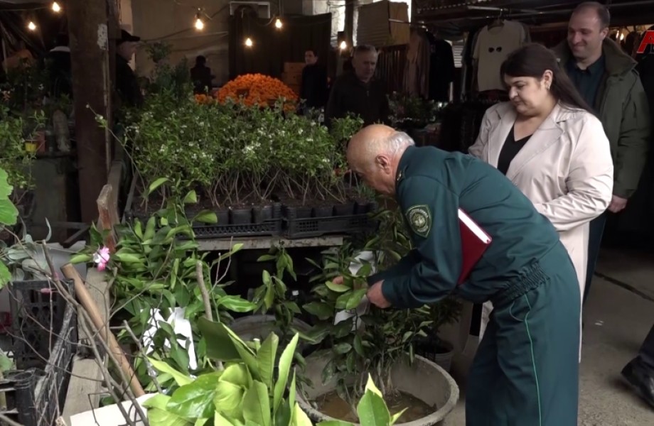 В республике начались масштабные проверки качества продуктов питания