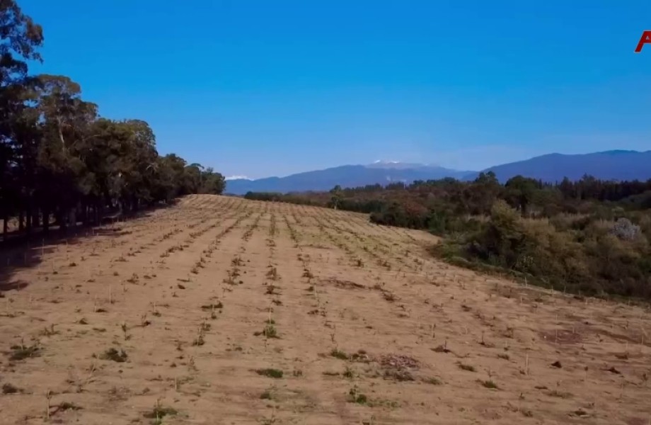 Ақыҭанхамҩа апрограммала аус зуа мрагыларатәи ахәҭа анаплакқәа ирҭааит аминистрра ахаҭарнакцәа