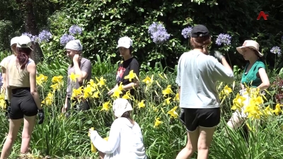 Студенты Башкирского ГМУ проходят летнюю практику в Сухумском Ботаническом саду