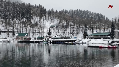 Озеро Рица - зимняя сказка