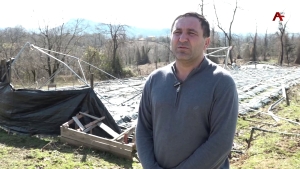 Дәрыҧшь ақыҭа анхаҩы Асҭамыр Гьерзмаа инапы алакуп апомидори анашеи раарыхра