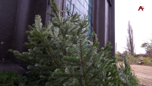 Аҧыза-министр идҵала аҧсаӡҵлақәа рыҧҟара иаҿагаланы аусурақәа цоит