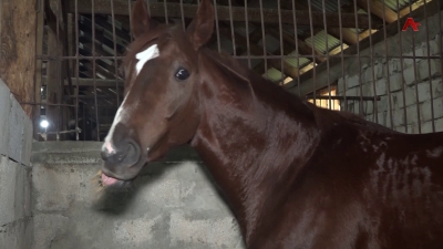 Мрагыларатәи амзар инақәыршәаны, ҳазҭало ашықәс аҽы иашықәсуп