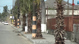 Очамчыра ақалақь иаҭаауа рылаҧш иҵамшәарц залшом араҟа имҩаҧысуа аиҭакрақәа