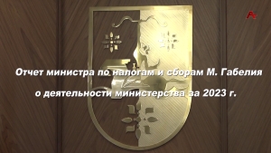 Отчет министра по налогам и сборам М.Габелия о деятельности министерства за 2023 г.