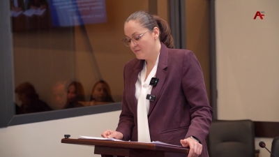 Уполномоченный по правам человека Анас Кишмария представила Парламенту ежегодный доклад