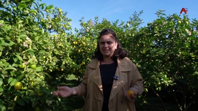 35 нызқь тонн аманадарин аалыҵ иазыҧшуп иахьатәи аамҭазы