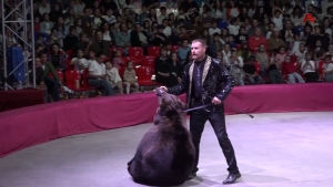 Апроваидер а –hom абзоурала, ахәыҷқәа ирыман алшара Аҧсны иҟаз «Агәымшәақәа реҵәаџьаа» ахәаҧшра