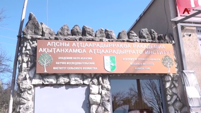 Научно-исследовательскому институту сельского хозяйства АН Абхазии в этом году исполняется 30 лет