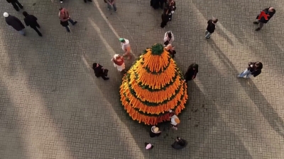 Афестиваль 