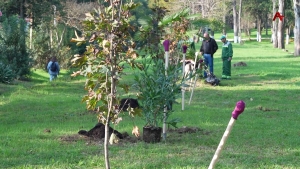&quot;Аллея добра&quot; появилась в Парке им. Курченко