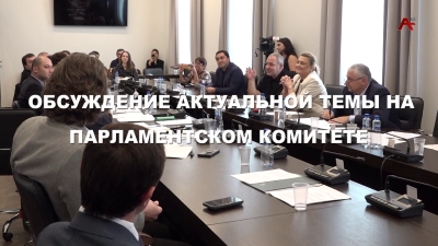 Обсуждение актуальной темы на Парламентском комитете