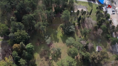 Дендропарк Николая Смецкого в Агудзере планируют восстановить