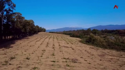 Ақыҭанхамҩа апрограммала аус зуа мрагыларатәи ахәҭа анаплакқәа ирҭааит аминистрра ахаҭарнакцәа