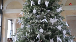 Акциа «Ашанаҵла» хацыркуп